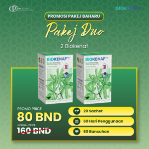 PAKEJ DUO 2 KOTAK